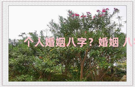 个人婚姻八字？婚姻 八字